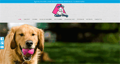 Desktop Screenshot of cindyscrittercamp.com